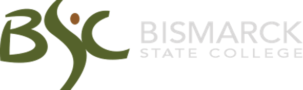 Bismarck2 About